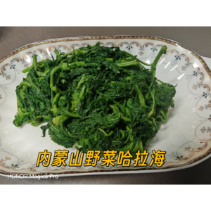内蒙特产野菜哈拉海克什克腾旗大山野生哈拉海山野菜炖土豆