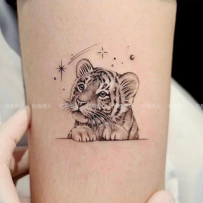 萌虎纹身贴小老虎可爱简约黑白持久网红款手臂小清新系ins风