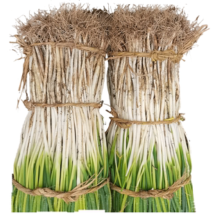 四川大葱新鲜葱黄农家蔬菜自种葱白本地大葱分葱小细葱脆香葱嫩葱