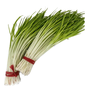 四川新鲜带叶韭白农家自种食用韭菜当季现割现发包饺子蔬菜非韭黄