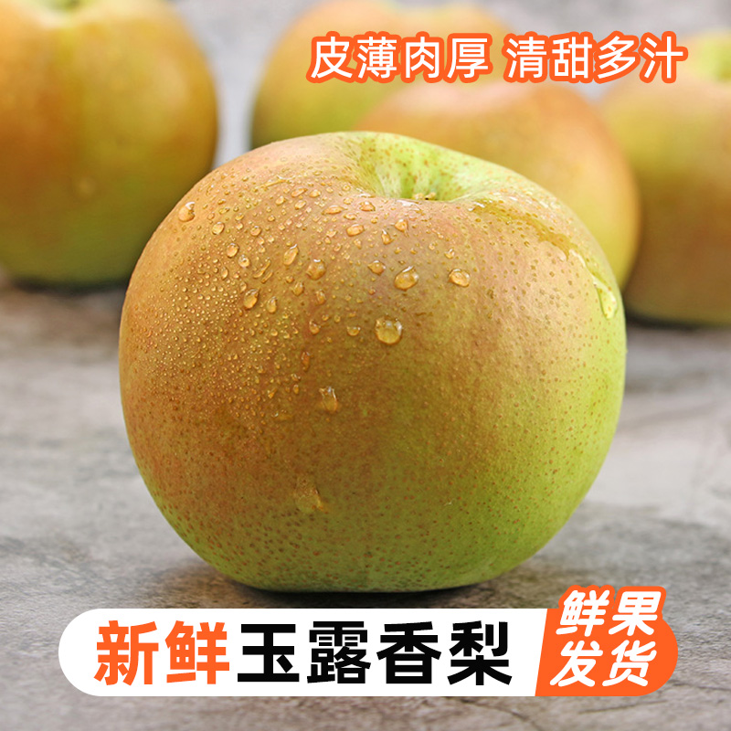 【日销】新鲜玉露香梨4.5斤彩箱酥脆香甜可口皮薄饱满多汁肉厚