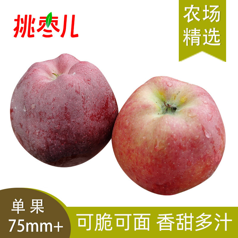 75mm-85mm 3�� ���Ű�ũ�������໨ţƻ��3��߹�75mm+Բ��80mm+���췢��ַ���