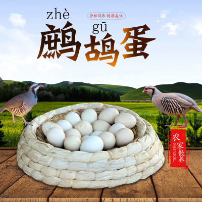 鹧鸪蛋24枚装新鲜鹧鸪蛋飞龙蛋非种蛋孵化发当日鲜产鸟蛋
