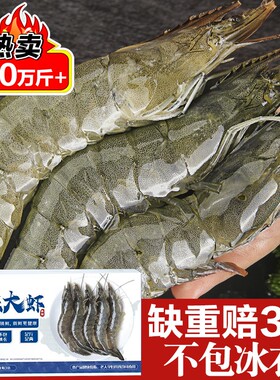 最岛城气冻大虾15cm-18cm净重3斤3040约53只新鲜青岛海虾鲜活速冻