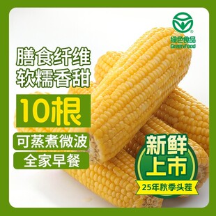 粉丝专属25年头茬试吃两根东北黄糯玉米10支整箱6.5 7.5斤软糯
