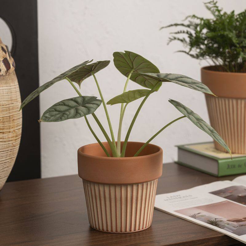 高颜值耐用组合花园红陶花盆竖纹透气百搭绿植室内外,鲜花速递/花卉仿真/绿植园艺,花盆,淘宝优惠券,粉丝福利购,淘宝优惠卷