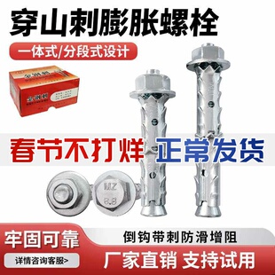 穿山刺胀栓砌块砖泡沫轻体砖专用膨胀螺栓加气块鱼鳞拉爆膨胀螺丝