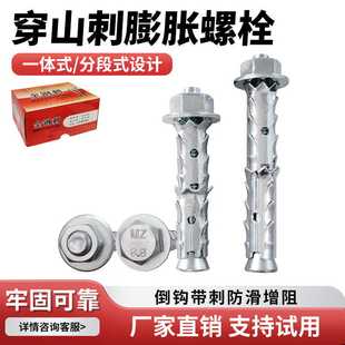 穿山刺胀栓砌块砖泡沫轻体砖专用膨胀螺栓加气块鱼鳞拉爆膨胀螺丝