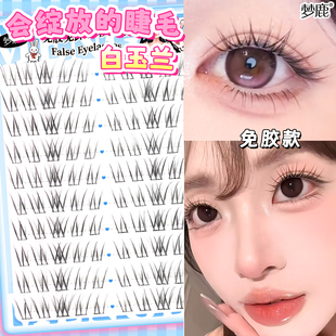 梦鹿免胶白玉兰单簇分段式假眼睫毛贴自然逼真裸妆浓密款女素颜