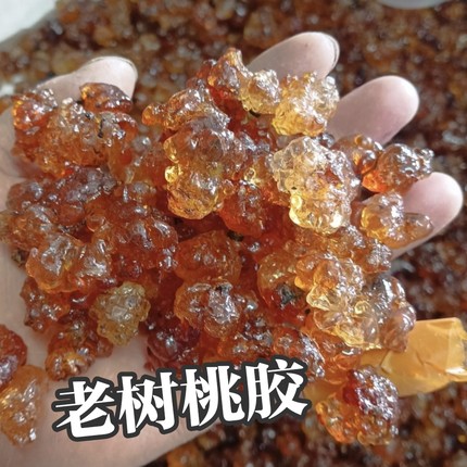 天然野生老树桃胶手工采摘自然晾晒500克袋装足斤足两发货批发价