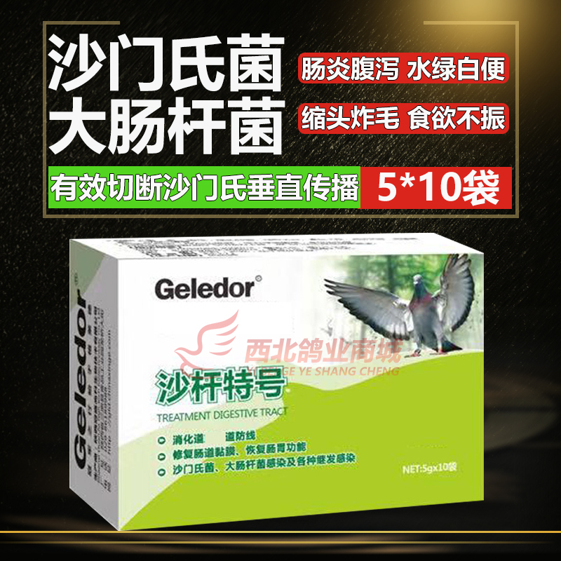 信鸽沙门氏大肠杆菌肠道水绿便