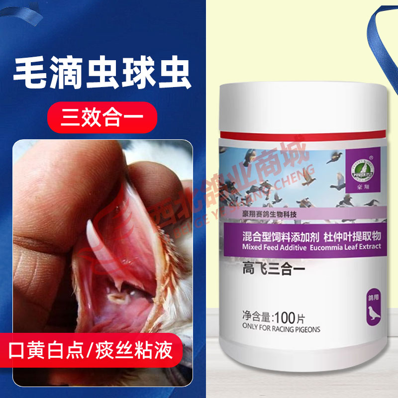 高飞三合一球虫血便常见病鸽药