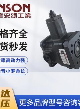 新款ANSON变量叶片泵TPF-VL30-G00-11 TPF-VL40-GH-1包邮