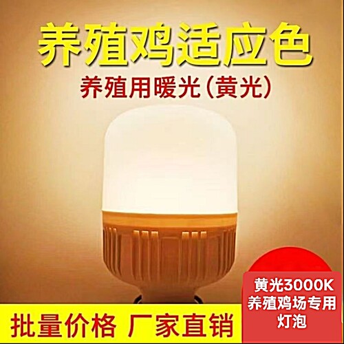养殖场LED黄光灯（暖黄光3000k）e27螺口防潮养殖场蛋鸡补光灯泡