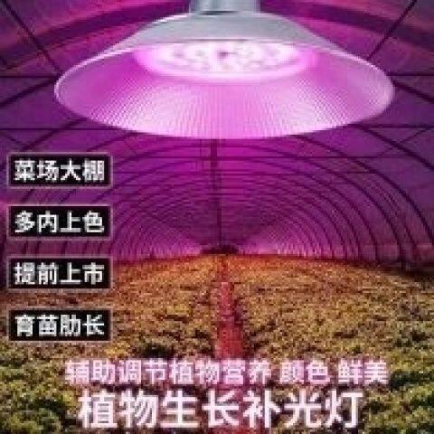 全光谱大棚植物补光灯草莓葡萄