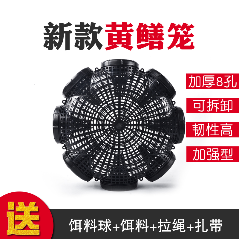 飞月户外黄鳝笼新款8口加厚