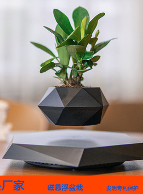 跨境磁悬浮盆栽花盆空中创意盆景植物花卉奇特ins风家居办公摆件