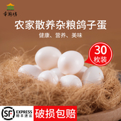 精选新鲜鸽子蛋30枚孕妇宝宝辅食白鸽蛋30个装 五谷杂粮喂养土鸽蛋