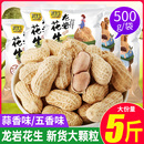 龙岩蒜香花生五香花生米带壳白晒水煮新货特产炒货干小零食多口味