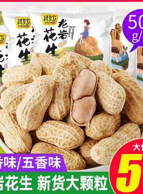 龙岩蒜香花生五香花生米带壳白晒水煮2024新货特产炒货年货零食干