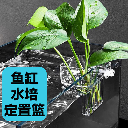 鱼缸水培植物固定篮水培造景