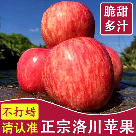 正宗陕西洛川苹果10斤新鲜水果整箱红富士当季冰糖心脆甜包邮萍果