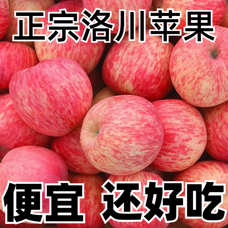 正宗洛川红富士苹果陕西新鲜水果苹果