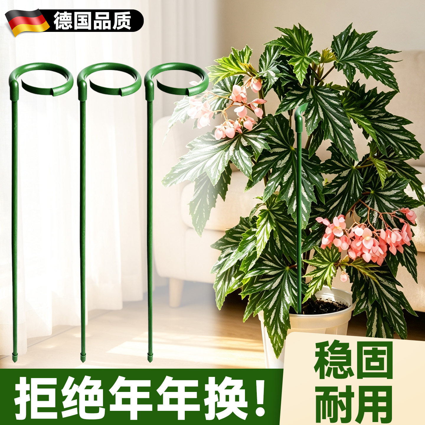 秋海棠支撑杆花卉支撑架花架图片