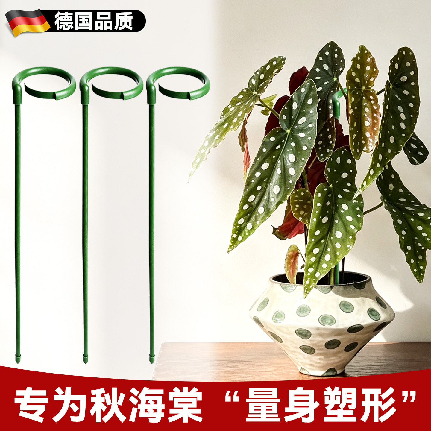秋海棠支撑杆花卉支撑架花架图片