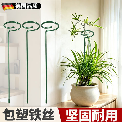 吊兰支撑架植物花架支撑杆