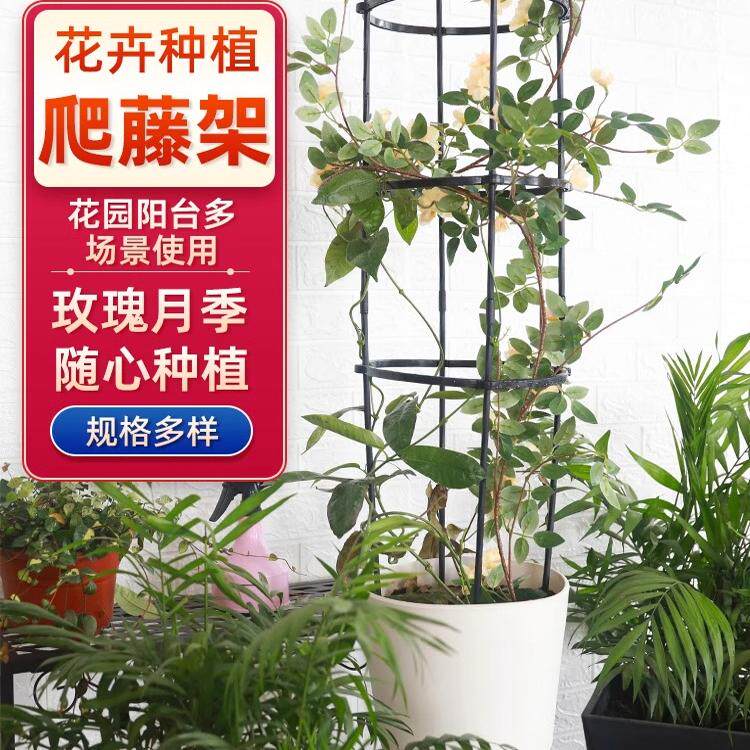 花架爬藤架月季花盆支撑支架柱形架子蓝雪花蟹爪兰藤架固定攀爬杆