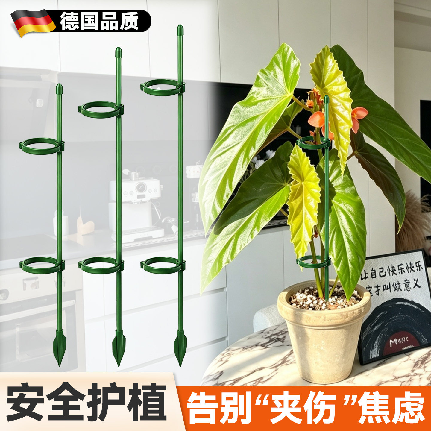 秋海棠支撑杆花架爬藤架花支撑架图片