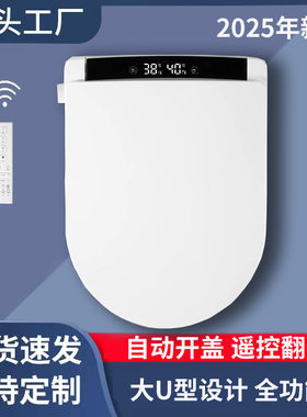 U型110V美规跨境自动开盖智能免治马桶盖 220V欧标