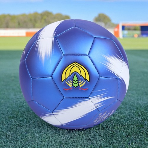 工厂直营耐磨pu黑白4号足球