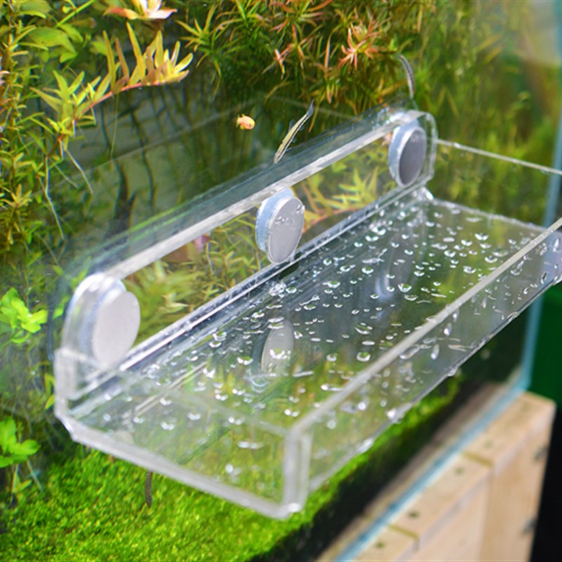 珊瑚基座支架海水鱼海水珊瑚断枝座草缸培育平台纽扣珊瑚断枝座