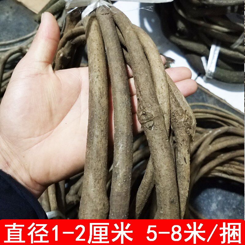 树藤枯藤条红山藤婚庆店铺家居装饰树藤吊顶免泡水真藤条装饰树藤
