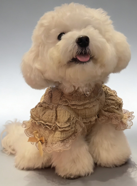 LUS狗狗蕾丝连衣裙小型犬泰迪比熊宠物服装春秋可爱轻薄透气