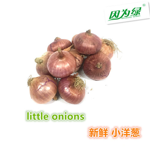 新鲜蔬菜迷你小洋葱皖江浙沪皖