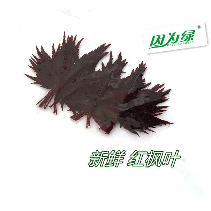 摆盘装饰新鲜江浙沪皖图片