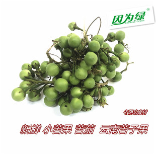 新鲜 小苦果 苦茄 苦凉野果野生 云南苦子果 小幼茄子 500g