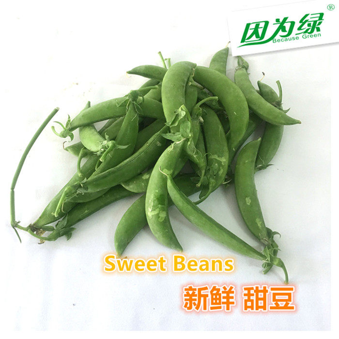 【因为绿】新鲜蔬菜 甜豆 新鲜 500g 江浙沪皖5件包邮