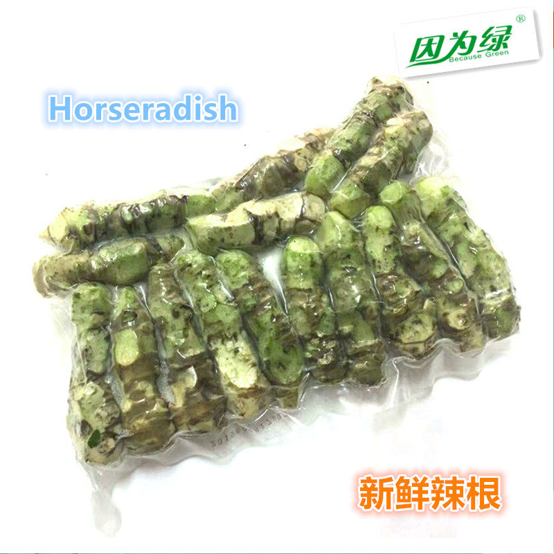 新鲜香料 辣根 青芥末 500g 新鲜辣根 江浙沪皖5件包邮