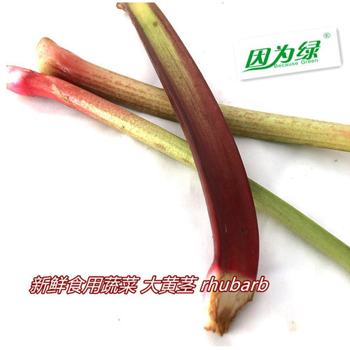 新鲜蔬菜食用rhubarb低脂糕点