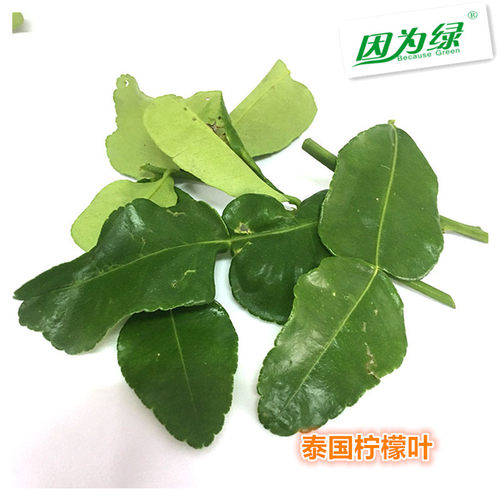 新鲜BecauseGreen/因为绿
