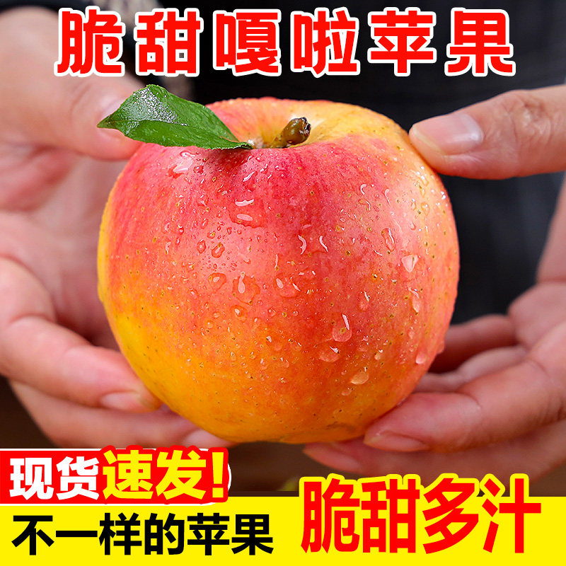 正宗现摘嘎啦苹果8颗，香甜多汁