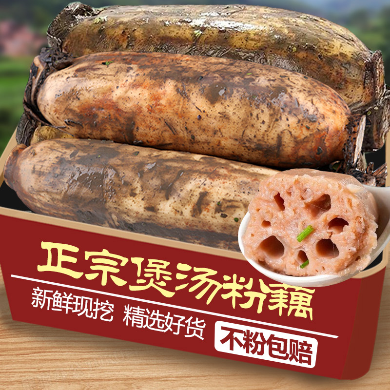 现挖洪湖粉藕新鲜煲汤莲藕1.5斤
