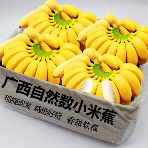 正宗广西小米蕉5斤，软糯香甜！