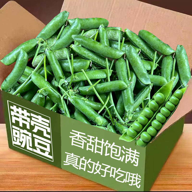 豌豆新鲜云南带壳青豆角粒农家蔬菜水果甜豆荚嫩当季整箱包邮
