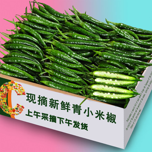 现摘农家小米辣2斤，香辣过瘾！