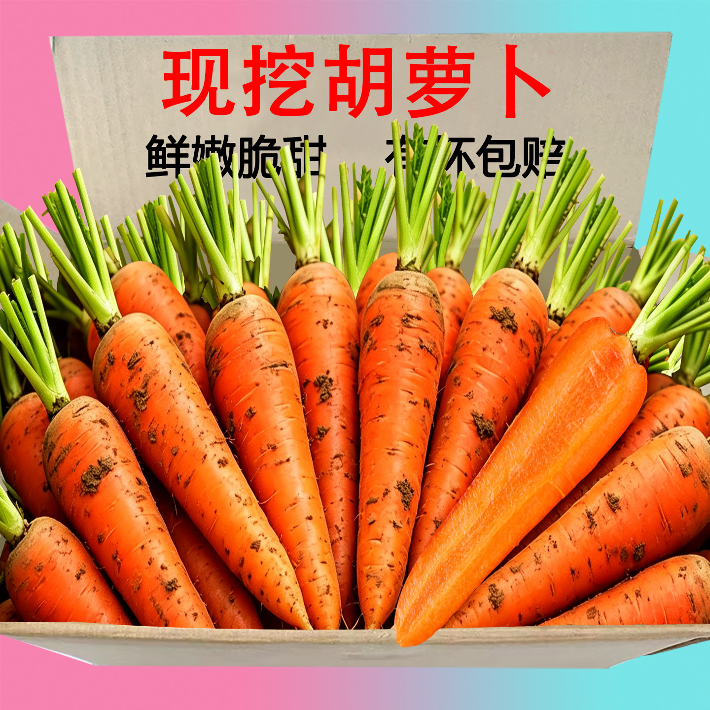 新鲜现挖胡萝卜3斤,产地直供!